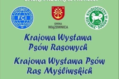 MIĘDZYNARODOWA WYSTAWA PSÓW RASOWYCH
