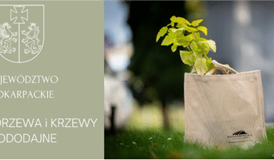 SADZENIE ROŚLIN MIODODAJNYCH​