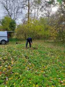 WhatsApp Image 2025-11-20 at 11.34.27 (1)