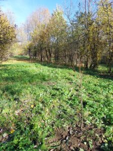 WhatsApp Image 2025-11-20 at 11.34.27 (2)