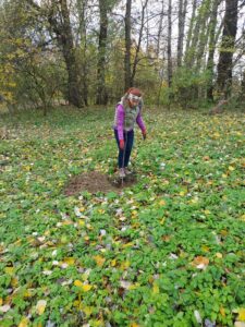 WhatsApp Image 2025-11-20 at 11.34.27