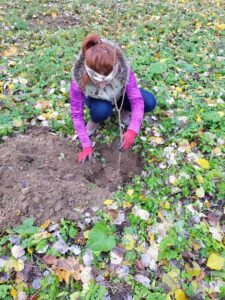 WhatsApp Image 2025-11-20 at 11.34.28