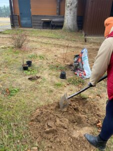 WhatsApp Image 2025-11-20 at 15.28.25 (1)