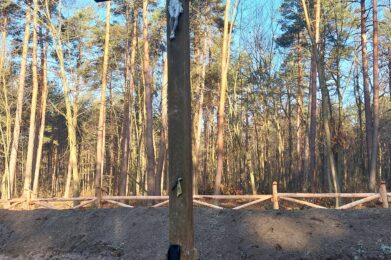 Remont Cmentarza z okresu I wojny światowej w miejscowości Cetula.