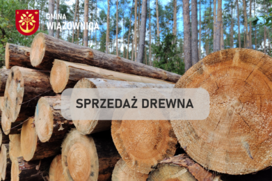 OGŁOSZENIE O SPRZEDAŻY DREWNA