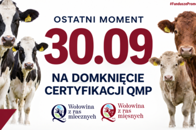 Certyfikat QMP — termin uzyskania upływa 30 września 2026 r.
