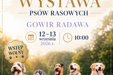 KRAJOWA I MIĘDZYNARODOWA WYSTAWA PSÓW RASOWYCH